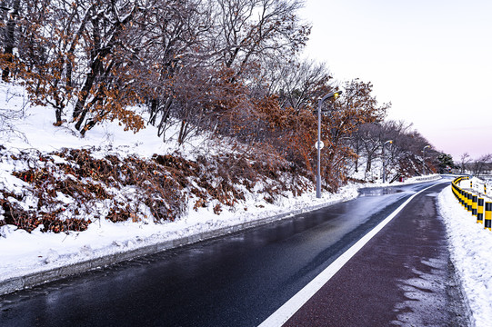 雪后的长春净月潭森林公园风景