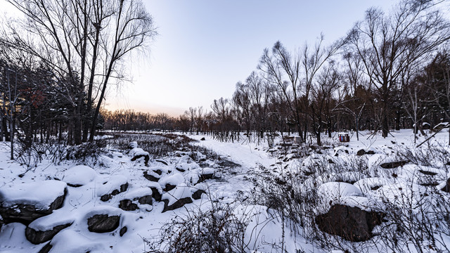 雪后的长春净月潭森林公园风景