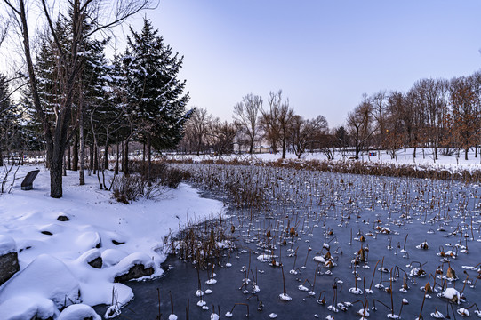 雪后的长春净月潭森林公园风景