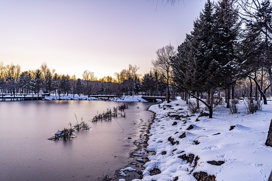 雪后的长春净月潭森林公园风景