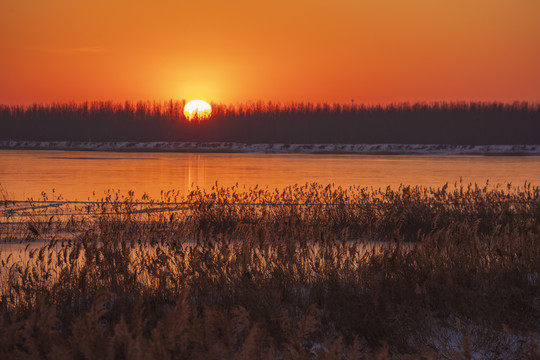 湿地夕照