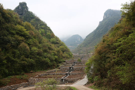 南方山区风光