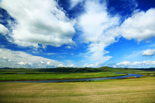 农田麦田河湾风景