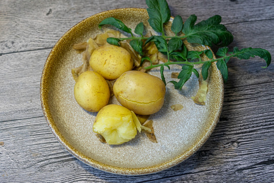 土豆