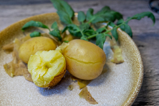 土豆