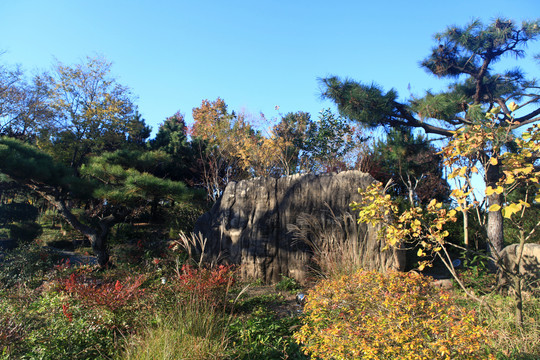 郊野公园