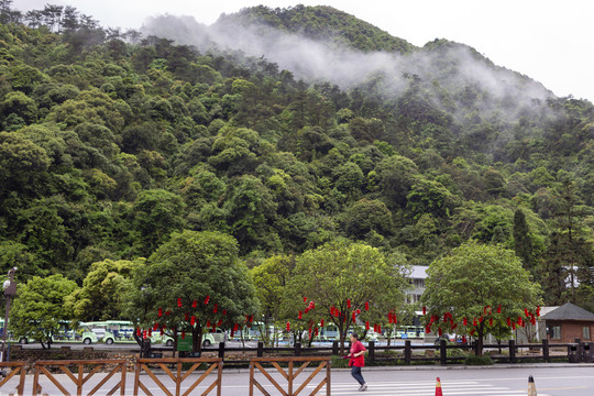 广西贺州姑婆山