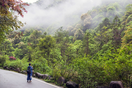 广西贺州姑婆山