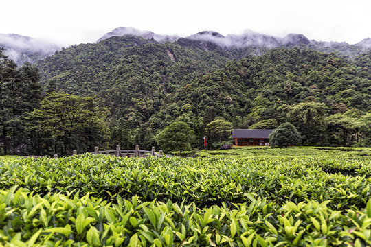 广西贺州姑婆山