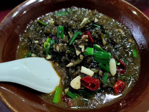 野生地皮菜