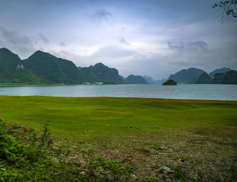 户外自然绿色风景