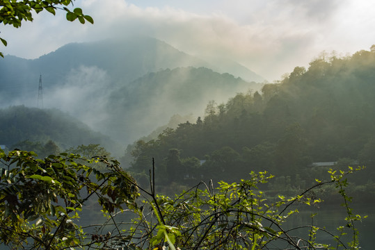 云雾远山高山树林