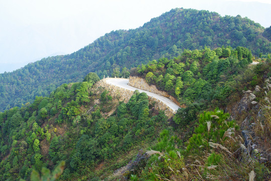 盘山公路山路大山山区