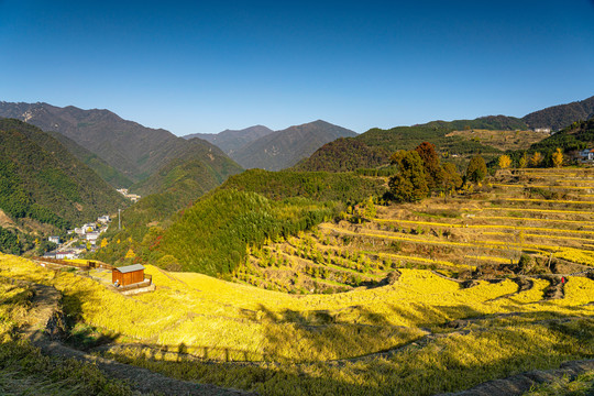 临安指南村