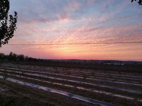 田园夕阳