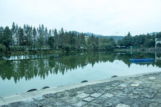 水塘风景