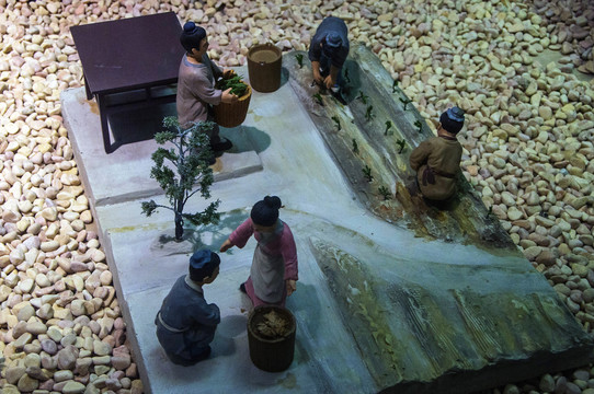种茶场景模型
