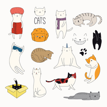 多种猫咪伸展表情插图