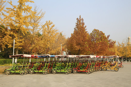 公园观光自行车