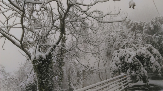 雪景