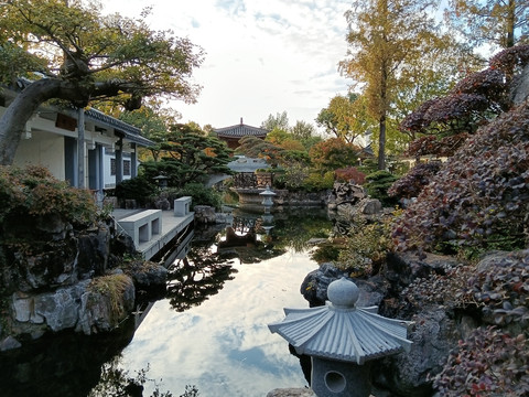 上海植物园