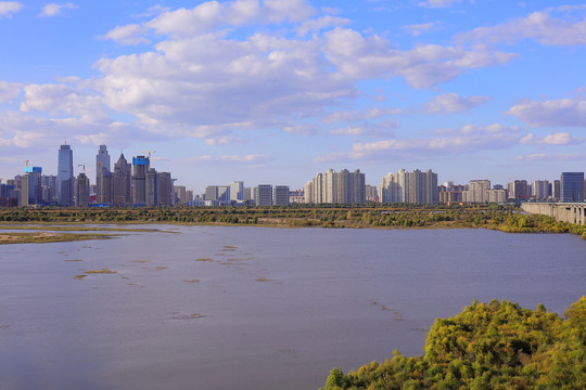 城市湿地风光