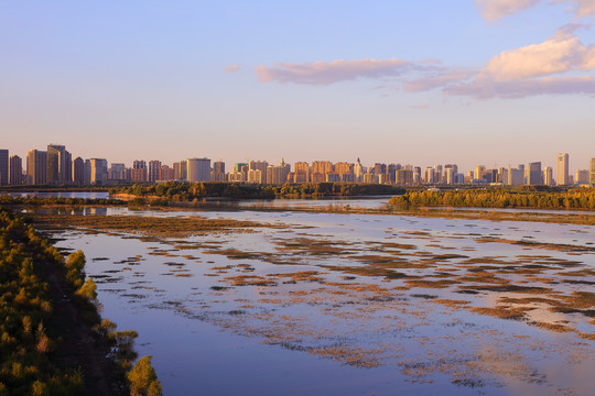 城市湿地风光