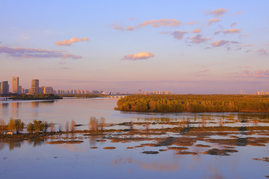 城市湿地风光