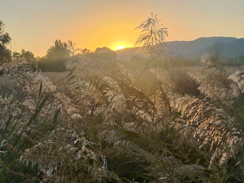 夕阳满天