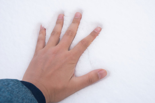 降雪之后一只手摸在雪地上