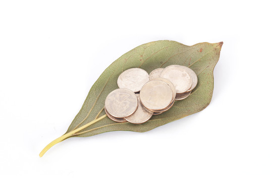 绿色树叶里包着一堆美元硬币