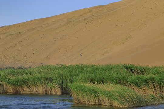 丹吉林沙漠地质公园
