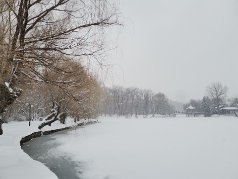 雪景