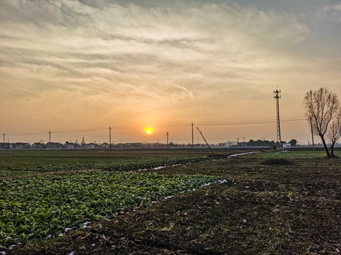 农田间的夕阳