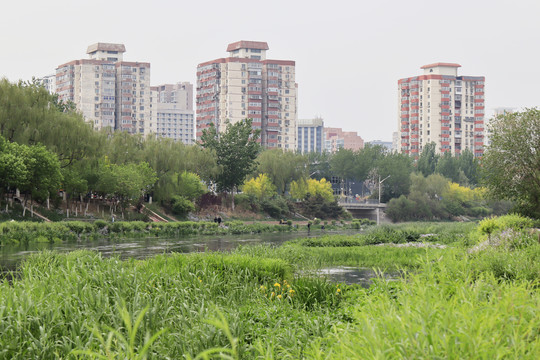 北京城市风光北京凉水河