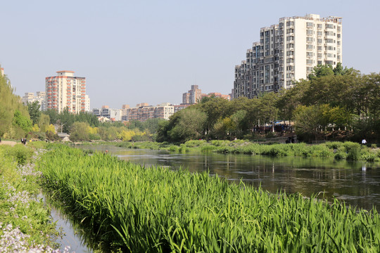 北京城市风光北京凉水河