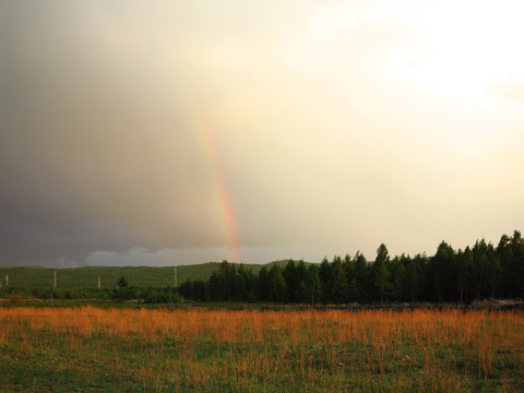 原野树林天空彩虹