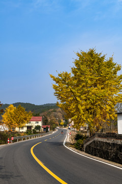 公路