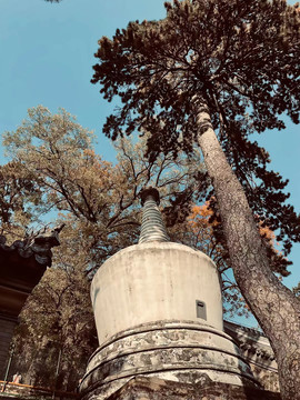 佛塔