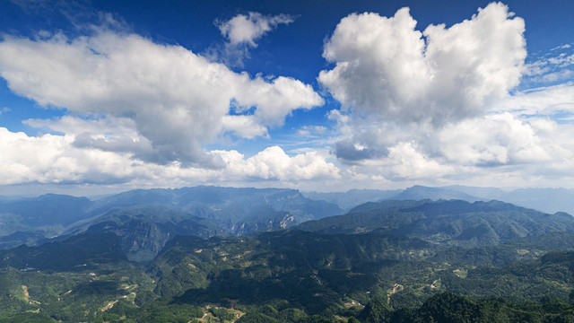 神龙阁