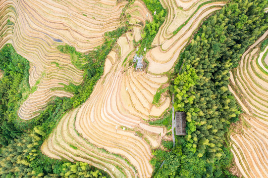 桂林龙胜大寨金坑梯田