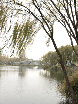 拱桥河流园林公园