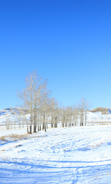 内蒙古冬季雪景