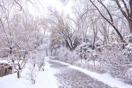 内蒙古冬季雪景