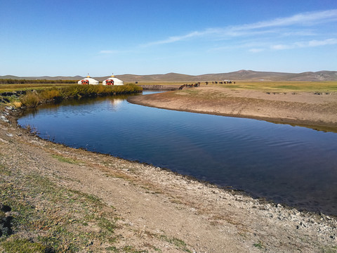 秋季草原河流蒙古包马群