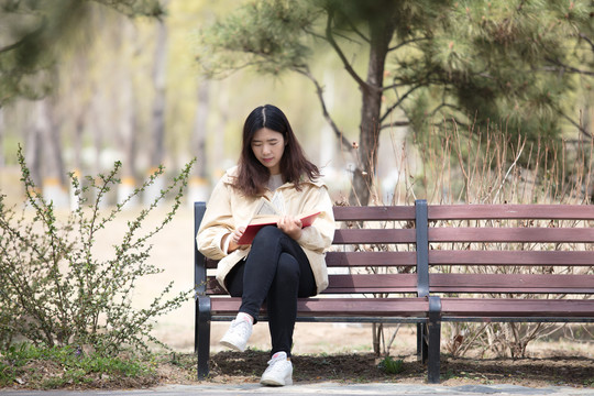 春天公园长凳上看书的女性