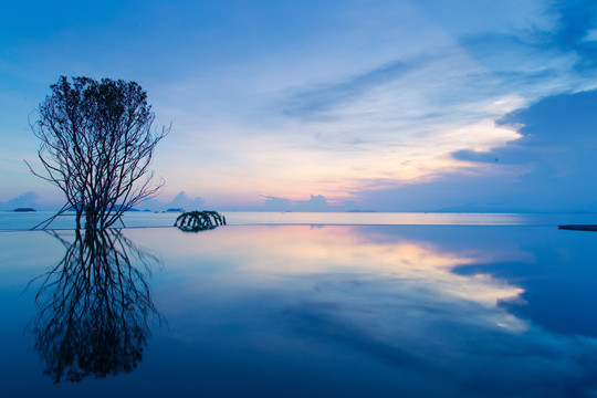 热带海景