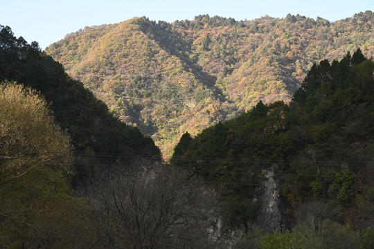 秦岭深峪