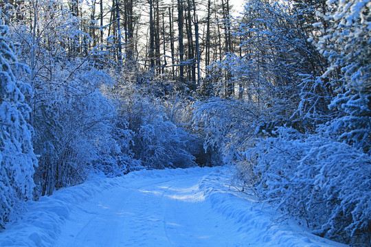 冬天山林雪路
