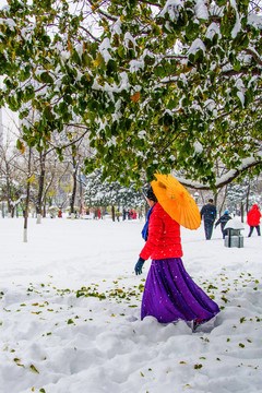 玉兰树树枝雪挂与雪地人物